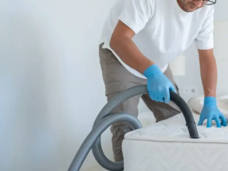 Cleaner vacuuming a mattress to remove dust mites in Indore